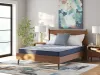 Sierra Sleep® by Ashley M20131 Sierra Sleep® by Ashley M20131 Peak 2.0 Bonnell - Queen Mattress - Light Blue