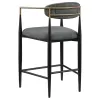 Coaster Fine Furniture 121186 Tina - Fabric Upholstered Counter Chair (Set of 2) - Dark Gray