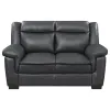 CoasterEveryday 506592 Arabella - Upholstered Padded Arm Loveseat - Gray