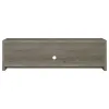 CoasterEssence 701025 Burke - 2 Door Engineered Wood TV Stand - Gray Driftwood