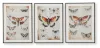 Ashley Furniture A8000490 Jossletts - Wall Art Set (Set of 3) - Orange / Black / Ivory