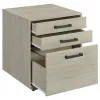 CoasterEssence 805882 Loomis - 3-Drawer Home Office File Cabinet - Whitewashed Gray
