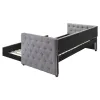 CoasterEssence 302161 Mockern - Upholstered Twin Daybed With Trundle - Gray