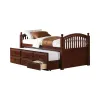 CoasterEssence 400381T Norwood - 3-Drawer Twin Bed With Captains Trundle - Chestnut