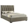 Coaster Fine Furniture 315975Q Delsea - Upholstered Queen Panel Platform Bed - Light Brown