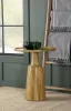 CoasterEssence 915105 Ixia - Round Solid Mango Wood Accent Side Table - Natural