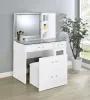 Coaster Fine Furniture 930218 Flora - 2-Drawer Vanity Set With LED Mirror - White High Gloss