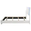 CoasterEssence 203500F Felicity - Wood Full LED Panel Bed - White High Gloss