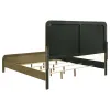Coaster Fine Furniture 224271Q Amsbury - Upholstered Queen Bed - Nutmeg
