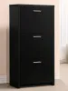 CoasterEssence 900604 Vivian - 3-Drawer Engineered Wood Shoe Cabinet - Black