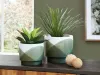 Ashley Furniture A2000579 Ardenridge - Planter Set (Set of 2) - Green / White