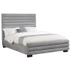 Coaster Fine Furniture 300719Q Patricia - Boucle Upholstered Queen Bed - Gray