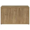 Coaster Fine Furniture 950395 Pepita - 3 Door Engineered Wood Accent Cabinet - Mango Brown