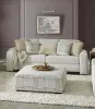Furniture of America SM5120-SF Cochrane - Sofa