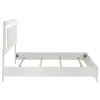 Coaster Fine Furniture 215791Q Cassia - Queen LED Panel Bed - White High Gloss