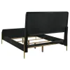 Coaster Fine Furniture 224331QCRM Arini - Queen Panel Bed - Cream And Black