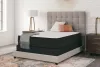 Sierra Sleep® by Ashley M41051 Sierra Sleep® by Ashley M41051 Limited Edition Firm - California King Mattress - White