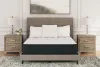 Sierra Sleep® by Ashley M41131 Sierra Sleep® by Ashley M41131 Limited Edition Plush - Queen Mattress - White