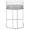 CoasterElevations 183405 Thermosolis - Clear Acrylic Counter Chair (Set of 2) - Chrome