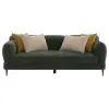 Coaster Fine Furniture 509131-S2 Jade - 2 Piece Chenille Upholstered Sofa Set - Green
