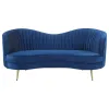 CoasterEssence 506862 Sophia - Upholstered Channel Tufted Loveseat - Blue