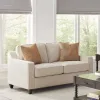 CoasterElevations 552062 Christine - Upholstered Sloped Arm Loveseat - Beige