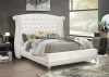 CoasterEveryday 300843Q Barzini - Upholstered Queen Wingback Bed - White