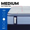Sealy 53199331/53199331 Sealy 53199331/53199331 Posturepedic Plus - Paterson II Euro Pillow Top Medium Mattress - Split King