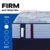 Sealy 53199531/53199531 Sealy 53199531/53199531 Posturepedic Pro - Dupont II Tight Top Firm Mattress - Split King