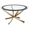 CoasterEveryday 707888-S2 Brooke - 2 Piece Round Glass Top Coffee Table Set - Brass