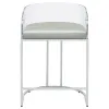 CoasterElevations 183405 Thermosolis - Clear Acrylic Counter Chair (Set of 2) - Chrome