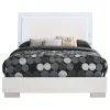 CoasterEssence 203500F Felicity - Wood Full LED Panel Bed - White High Gloss