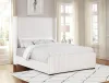 Coaster Fine Furniture 306051Q Natasha - Upholstered Queen Wingback Bed - Cream