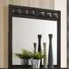CoasterEveryday 202094 Carlton - Dresser Mirror - Cappuccino