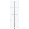 CoasterEveryday 950001 Zahavah - 4-Shelf Hexagonal Clear Glass Curio Cabinet - White