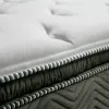 Furniture of America DM338Q-M Stormin - Euro Pillow Top Mattress 80