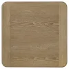 Coaster Fine Furniture 722857 Adina - Square Wood Side End Table - Distressed Light Brown