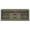 CoasterEssence 701024 Burke - 2-Drawer Engineered Wood TV Stand - Gray Driftwood