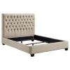 CoasterEssence 300007F Chloe - Upholstered Full Panel Bed - Oatmeal