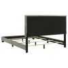 Coaster Fine Furniture 300851Q Dorian - Fabric Upholstered Queen Panel Bed - Taupe