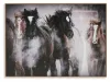 Ashley Furniture A8000380 Chaseburn - Wall Art - Brown / Black / White