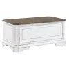 Liberty Furniture 244-OT1013 Magnolia Manor - Storage Trunk - Antique White