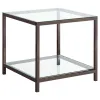 CoasterEssence 720227 Trini - 1-Shelf Glass Top Side End Table - Black Nickel