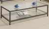 CoasterEssence 720228 Trini - 1-Shelf Glass Top Coffee Table - Black Nickel