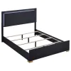 Coaster Fine Furniture 222831F Marceline - Wood Full LED Panel Bed - Black