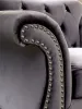Furniture of America CM6159GY-CH-VN Jolanda - Chair - Gray