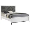 Coaster Fine Furniture 224861Q Sonora - Queen Upholstered Panel Bed - White