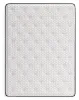 Sierra Sleep® by Ashley M41131 Sierra Sleep® by Ashley M41131 Limited Edition Plush - Queen Mattress - White