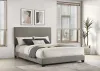 Coaster Fine Furniture 300851Q Dorian - Fabric Upholstered Queen Panel Bed - Taupe