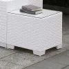 Furniture of America CM-OS2128WH-L Somani - End Table - White